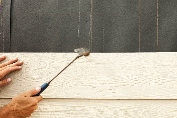 Best Insulated Siding Installation  in El Paso De Robles, CA